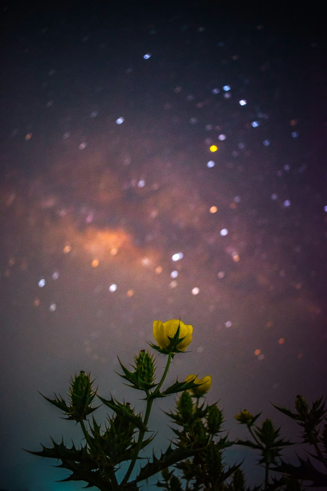 《归队》福庆角色介绍